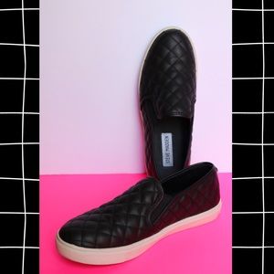 Steve Madden, Ecentrcq Sneaker
